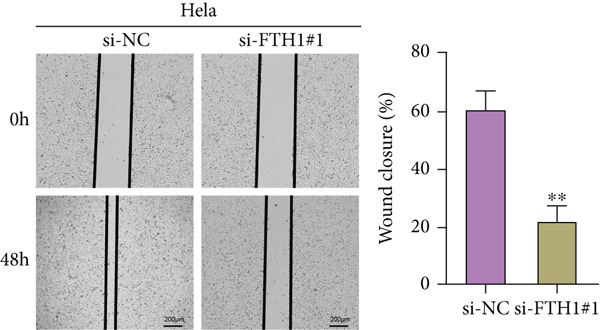 Figure 40