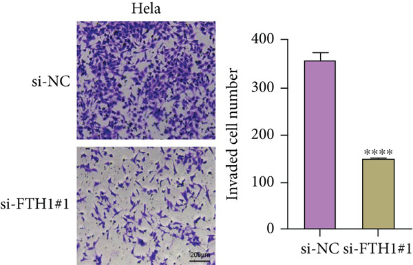 Figure 41