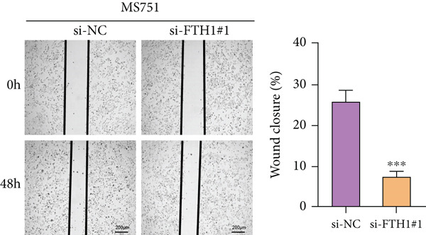 Figure 42