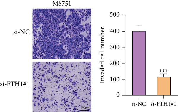 Figure 43