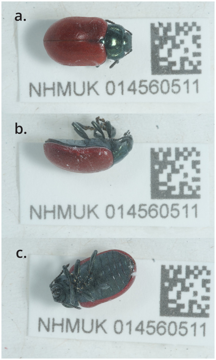 Figure 1