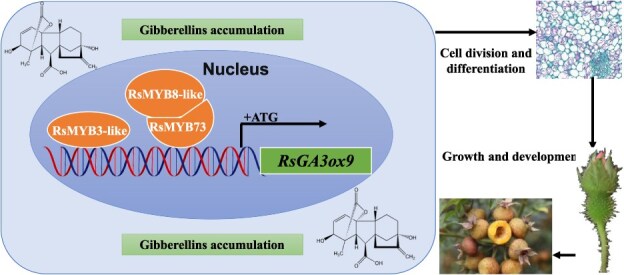Figure 9