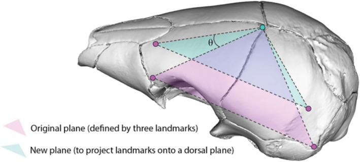FIGURE 2