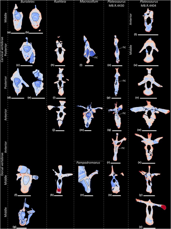FIGURE 19