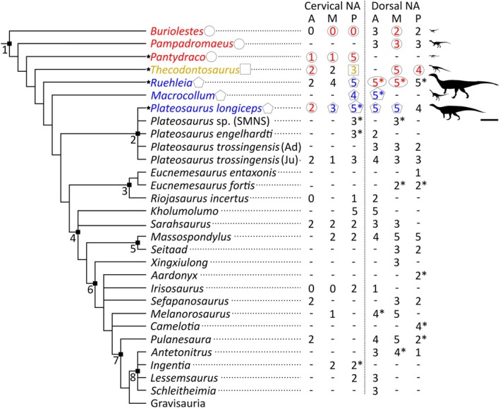 FIGURE 18