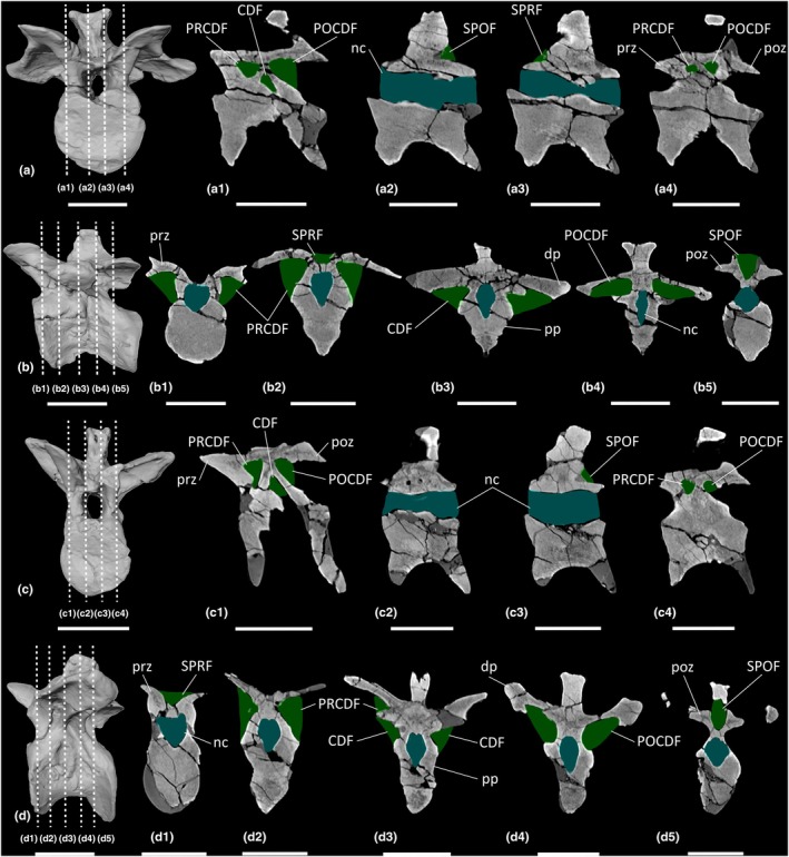 FIGURE 14