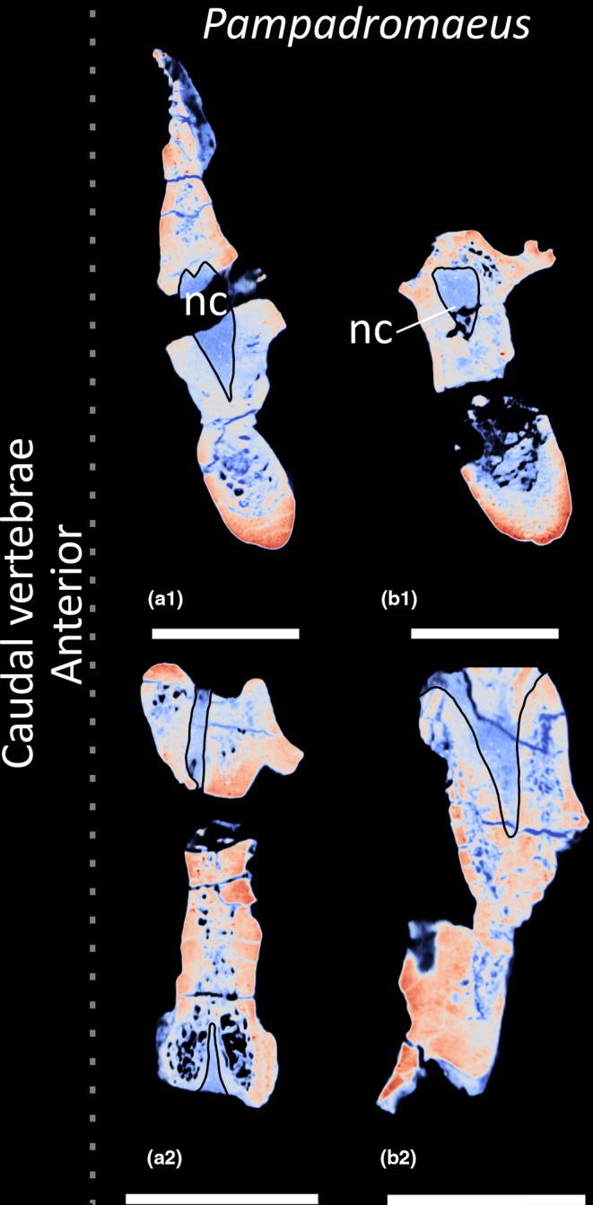 FIGURE 21