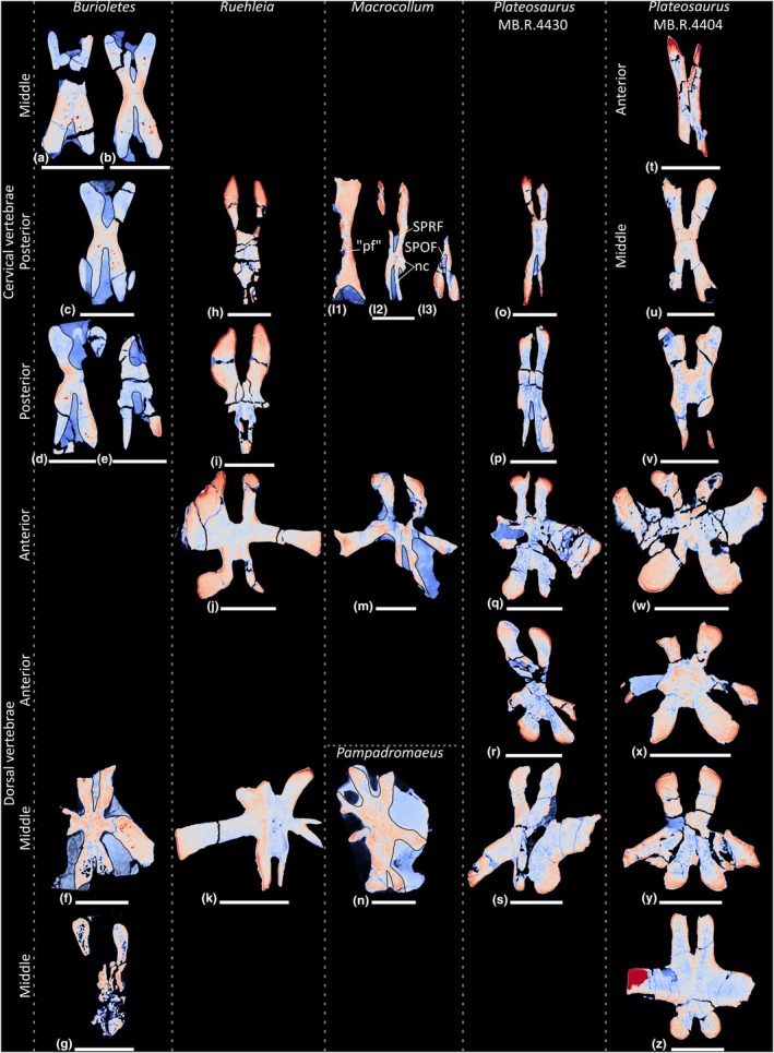 FIGURE 20