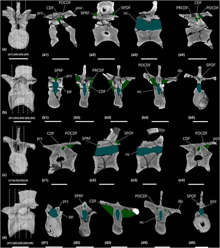 FIGURE 16