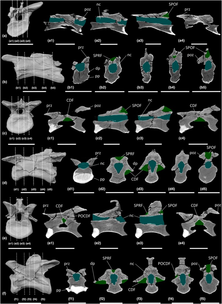 FIGURE 12