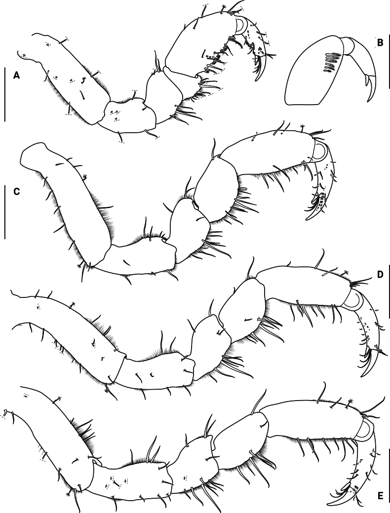 Figure 5