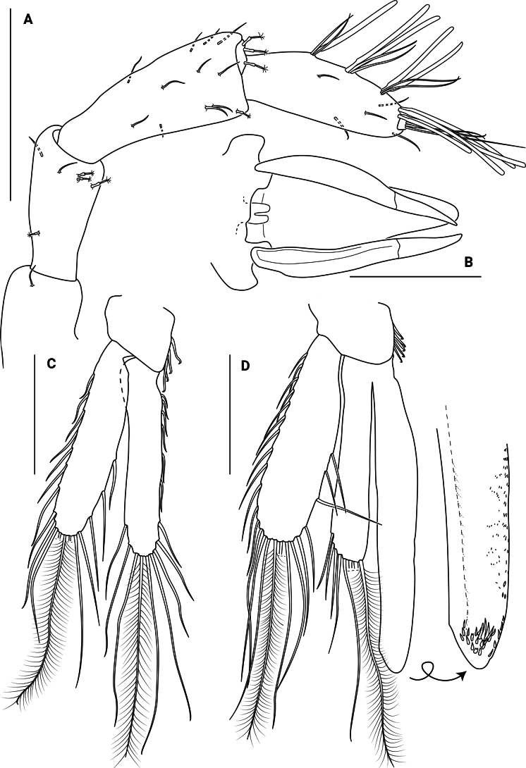 Figure 8