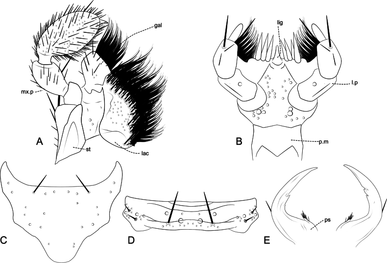 Figure 11