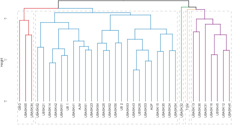Figure 4