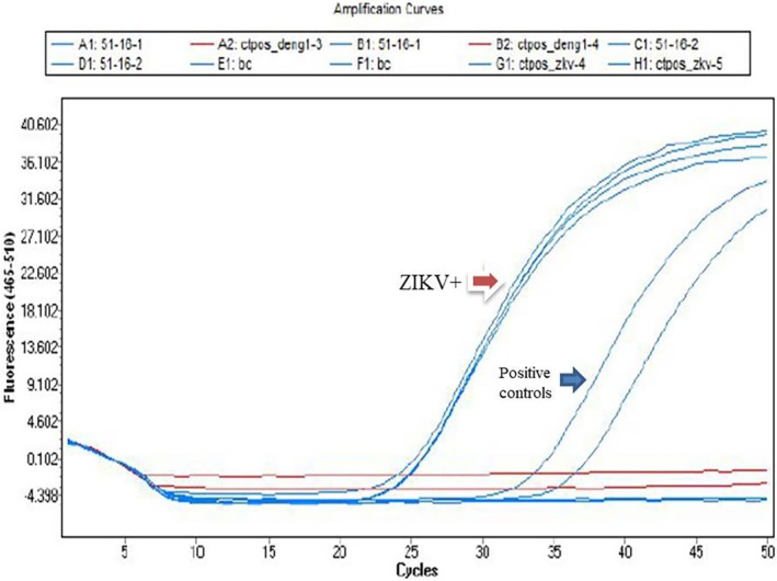 FIGURE 1