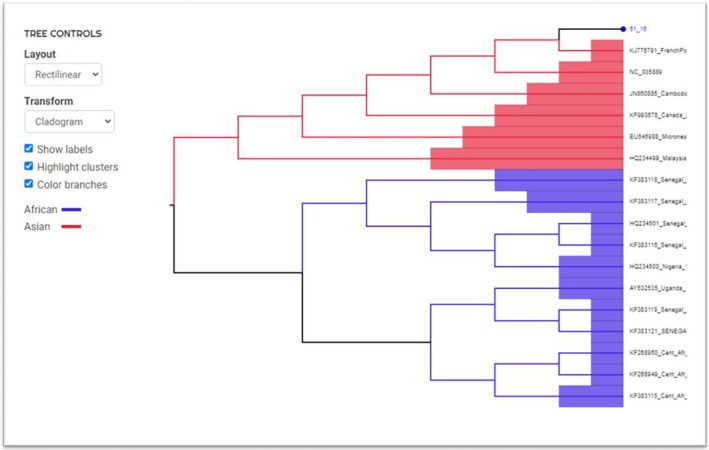 FIGURE 3