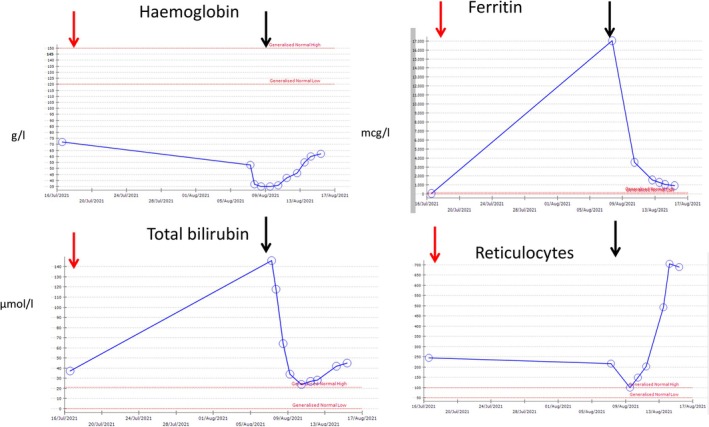 FIGURE 1