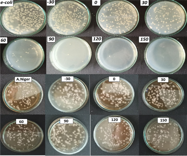 Figure 12