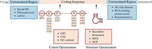FIGURE 3