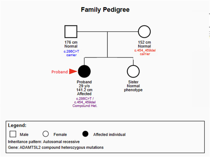 FIGURE 1