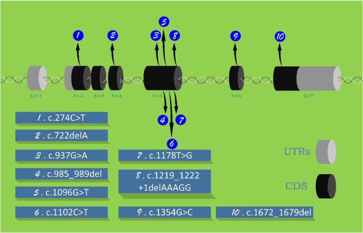 FIGURE 1