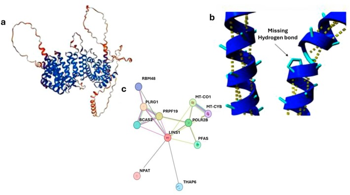 FIGURE 3
