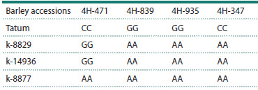 Table 6