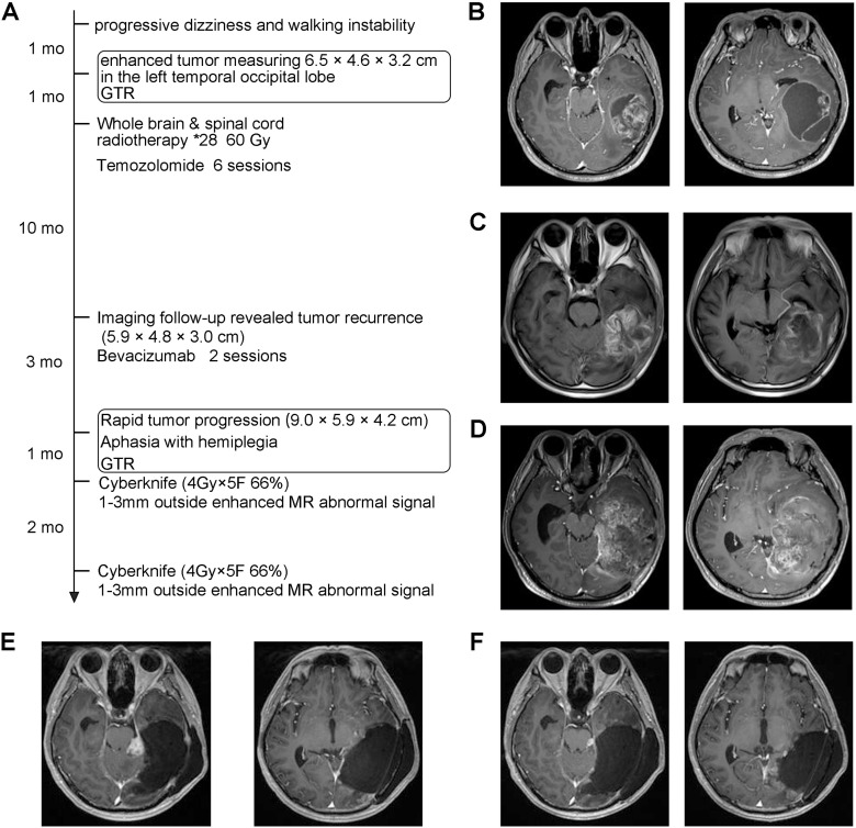 Figure 1
