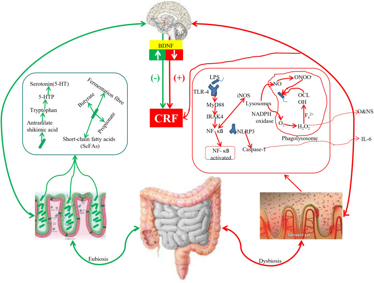 Figure 4