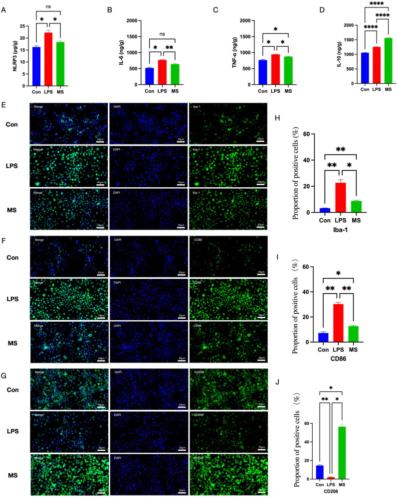 Figure 4