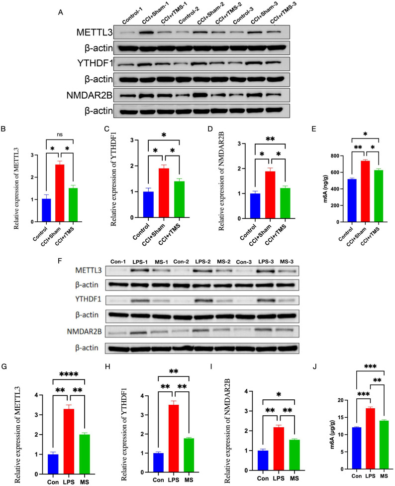 Figure 5