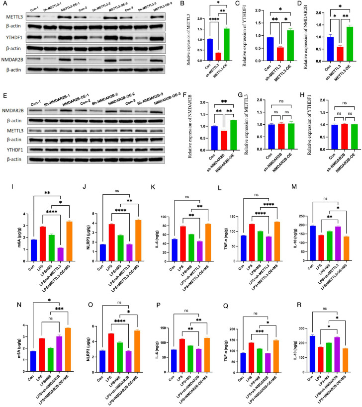 Figure 6