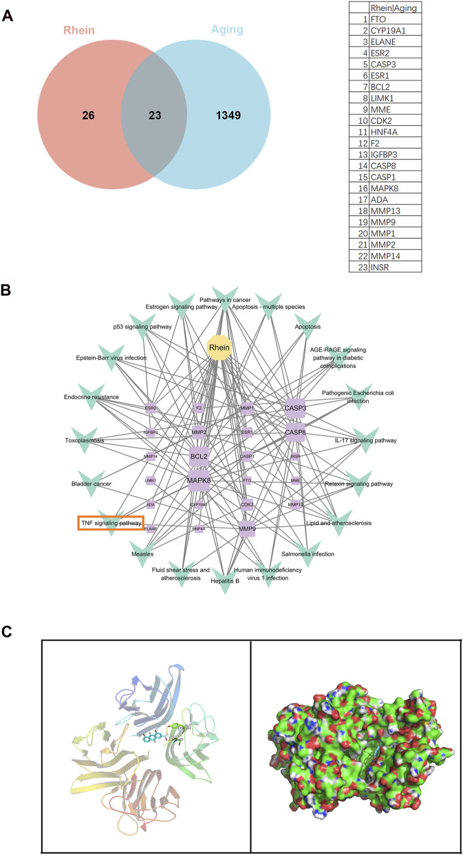 FIGURE 4