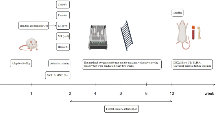 Figure 1