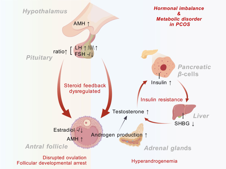 Figure 2