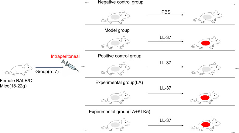 Figure 1