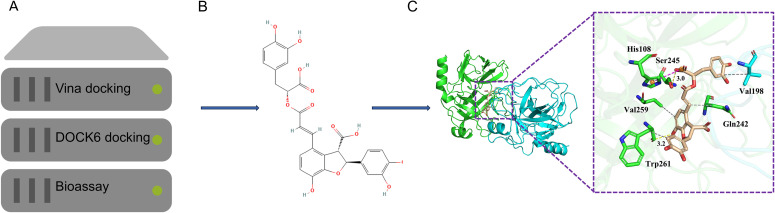 Figure 2
