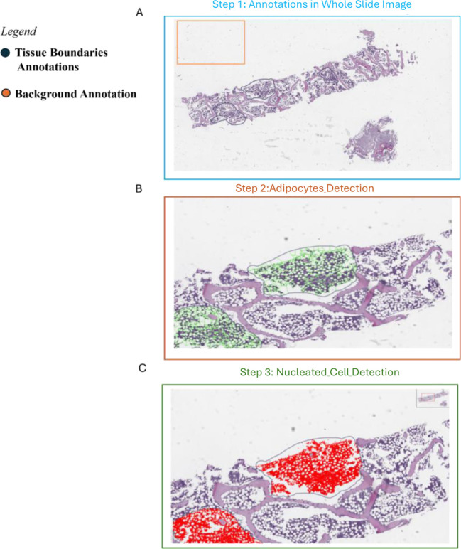 Figure 2