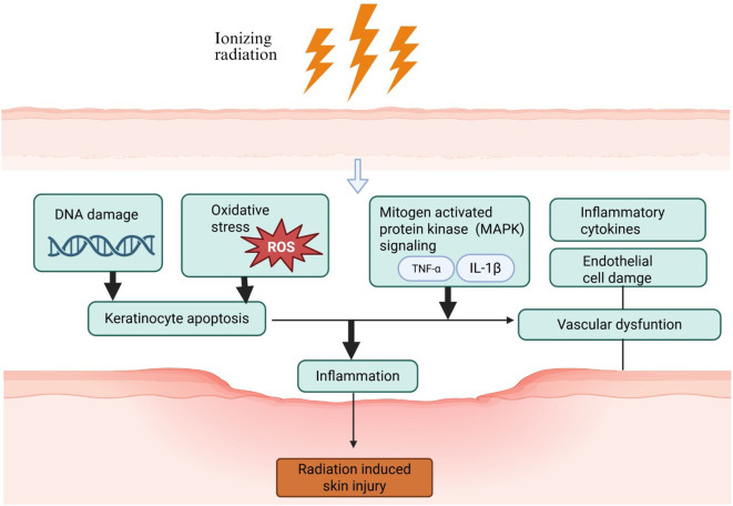 Figure 2