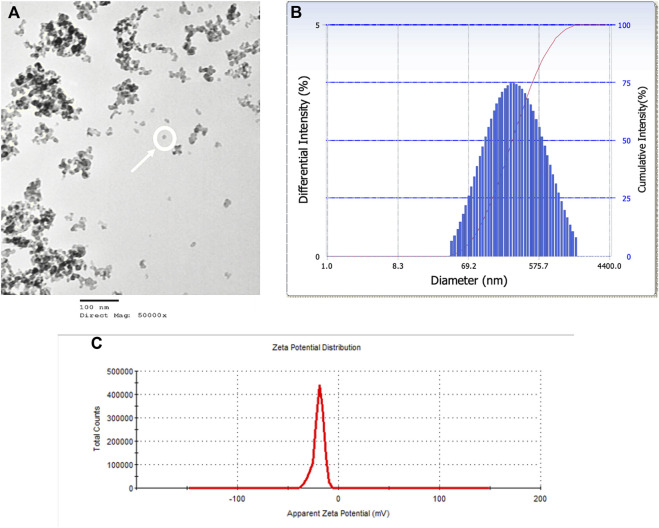 FIGURE 1
