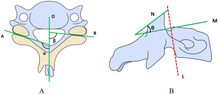 Figure 1