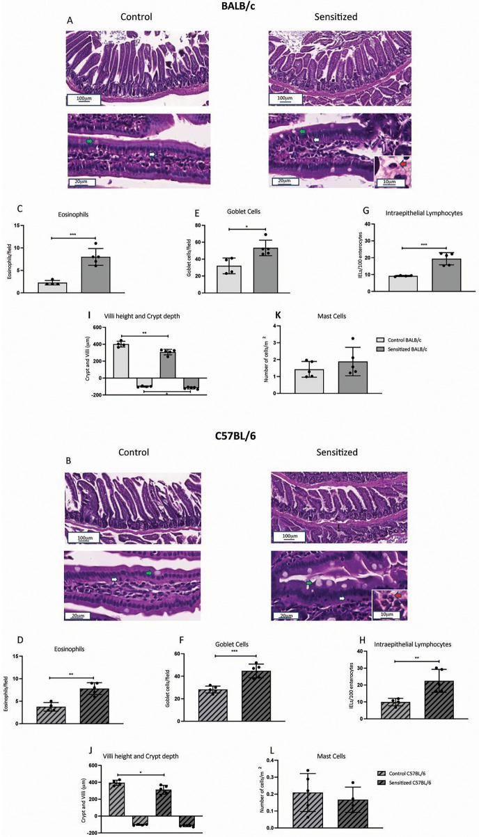 Figure 4