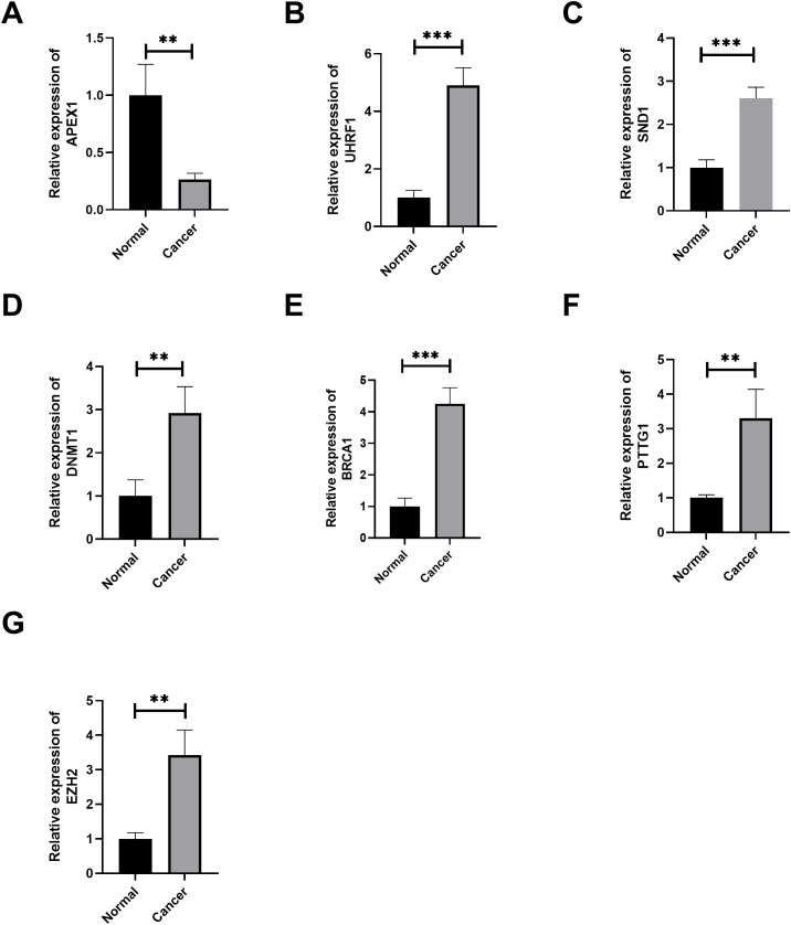 Figure 11