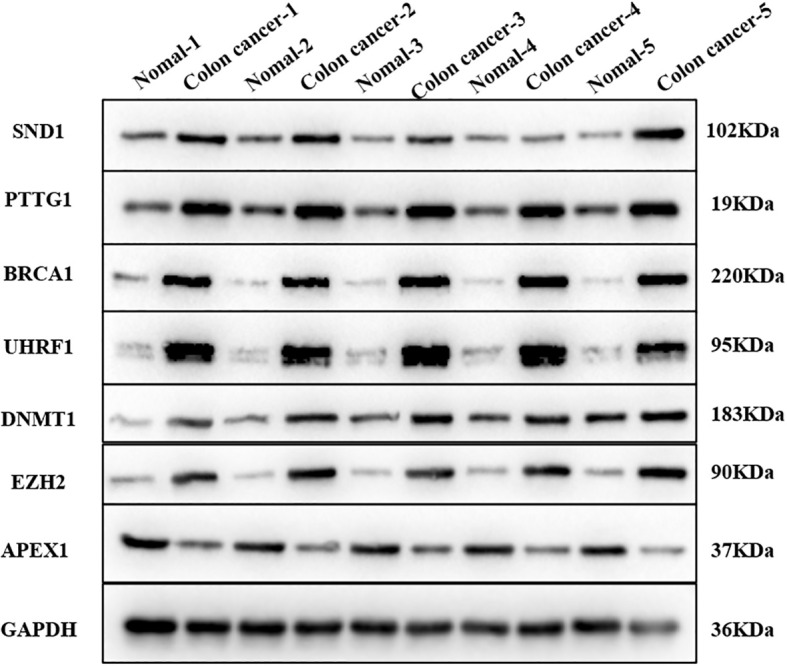 Figure 12