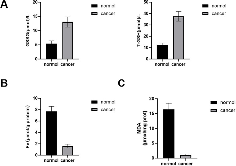 Figure 13