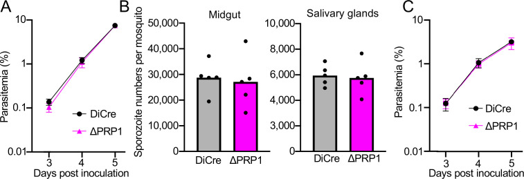 Figure 5