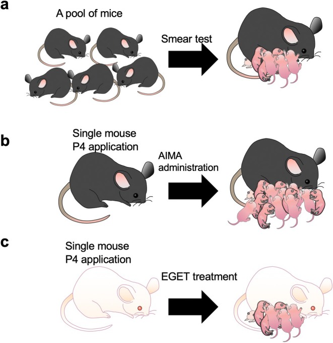 FIGURE 3