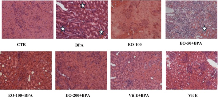 FIGURE 15