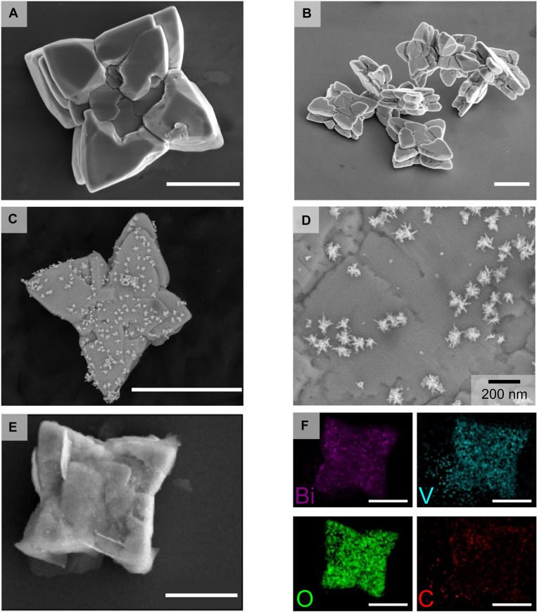 Fig. 2