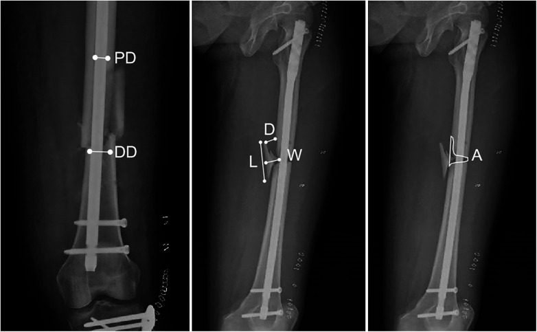 Figure 2